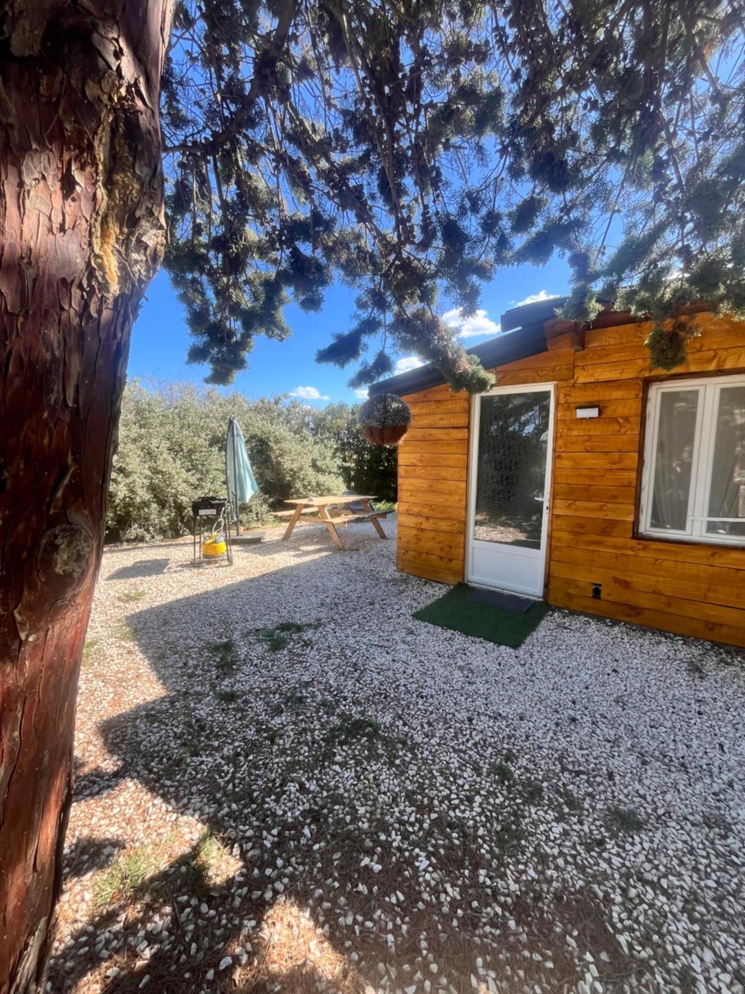 הוילה Mèze Location T3 Jardin Avec Piscine מראה חיצוני תמונה